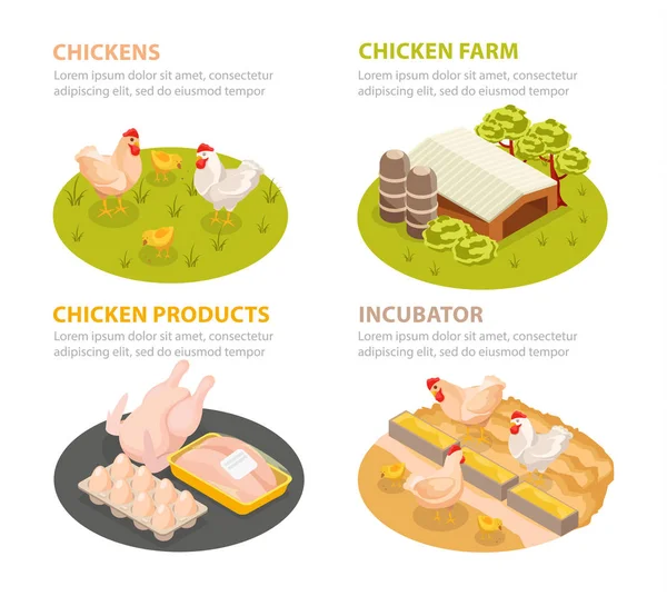 Chicken Farm Compositions Set — ストックベクタ
