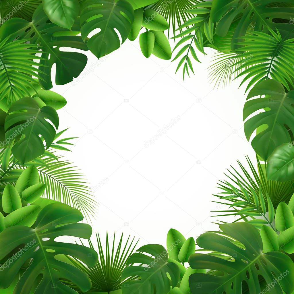 Tropical Leaves Frame Composition