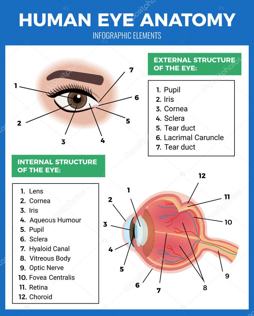 Eye Care Poster