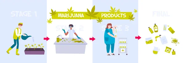 Zusammensetzung der Marihuana-Produktion — Stockvektor