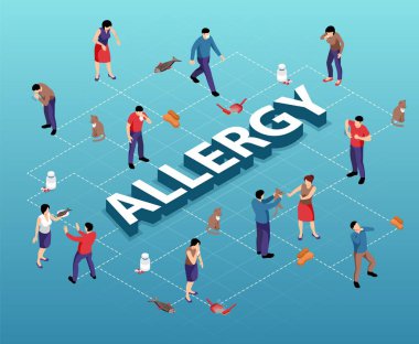 Isometric Alergy Akış Çizelgesi