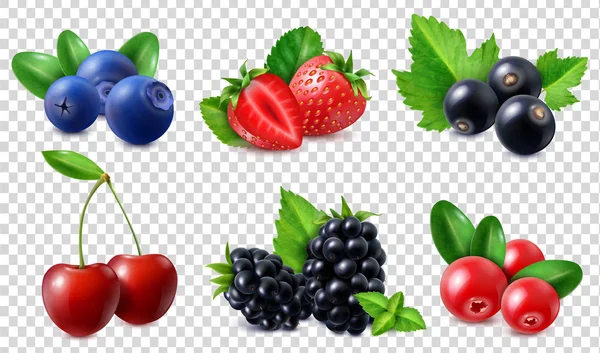 Realistic Berries Set — Stock Vector