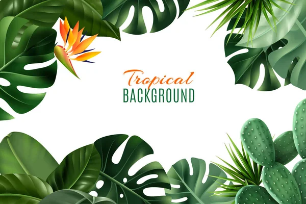 Fondo tropical con marco de hojas — Vector de stock