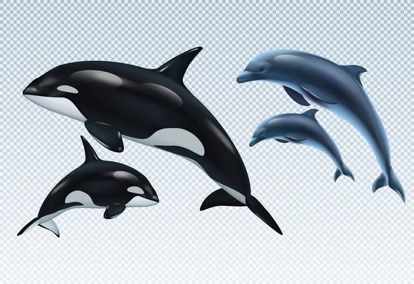 Ensemble d'icônes transparentes réalistes pour dauphins et épaulards — Image vectorielle