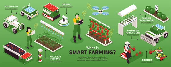 Isometrisk Smart Farm Infografik — Stock vektor