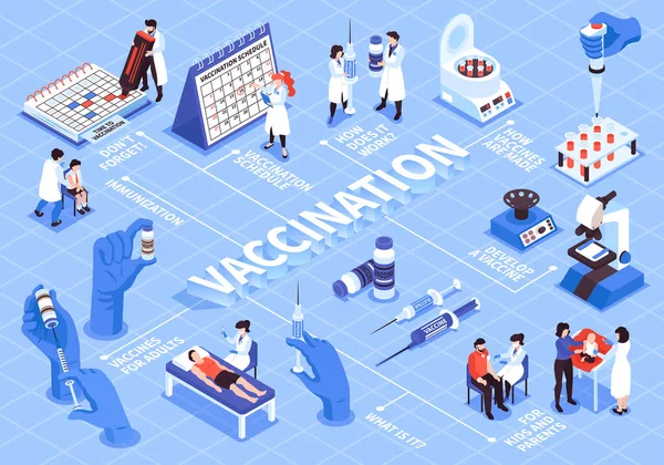 Vaccinationskalender Isometriskt flödesschema — Stock vektor