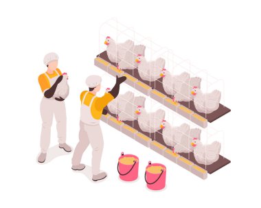 Kümes hayvanları çiftliği Isometric bileşimi