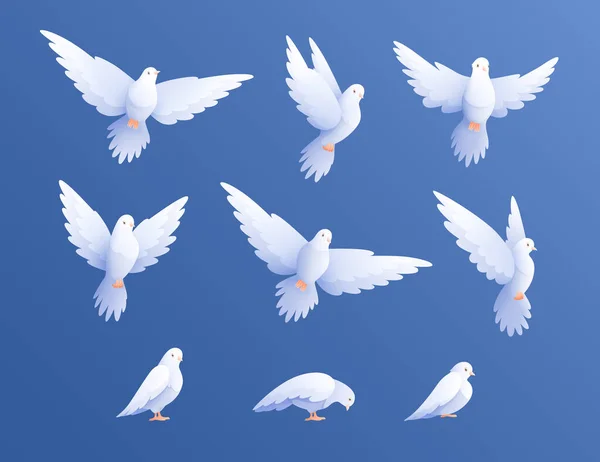 Beyaz Güvercinler Ayarlandı — Stok Vektör