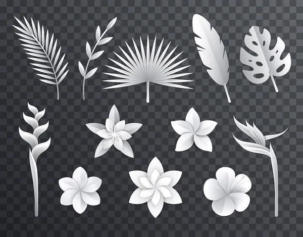 Σύνολο λουλουδιών Λευκού Βιβλίου — Διανυσματικό Αρχείο