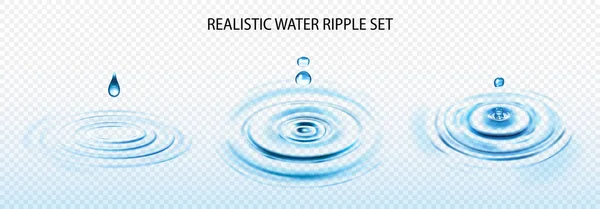 Water Ripple Transparent Set — Stock Vector