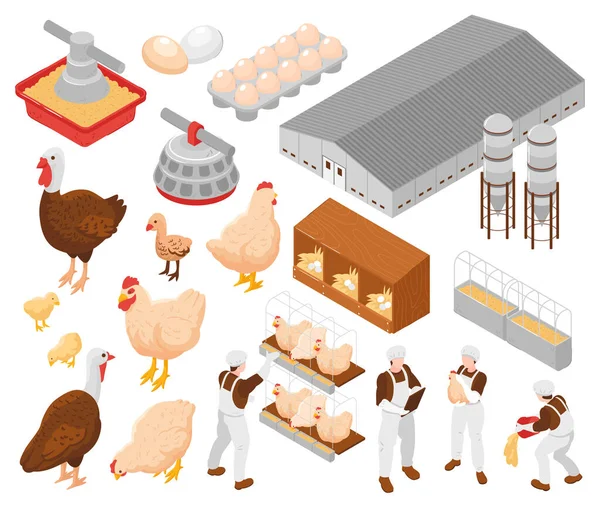 Poultry Farm Isometric Set — Stock Vector