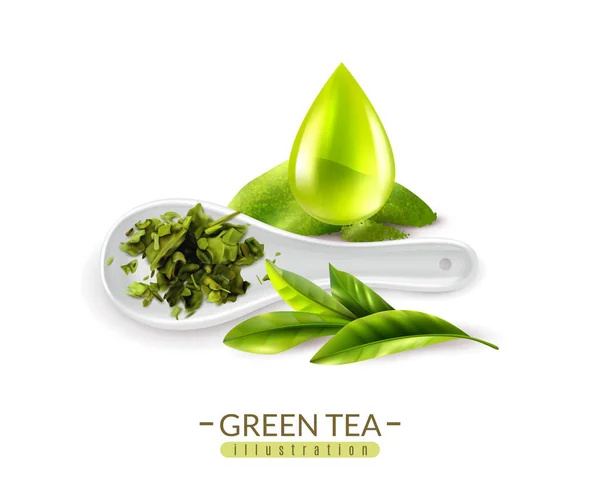 Composition de thé vert à base de plantes — Image vectorielle