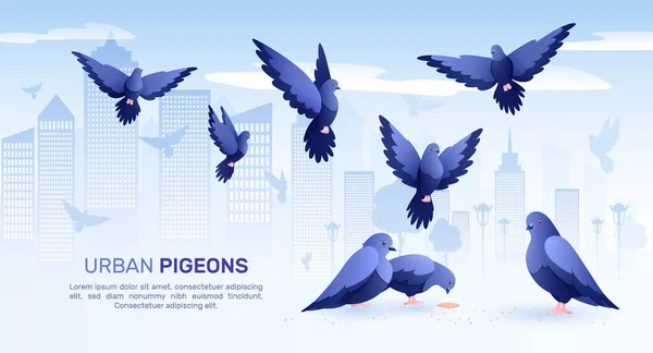 City Pigeons Επίπεδο φόντο — Διανυσματικό Αρχείο