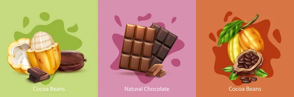 Concept réaliste de conception de cacao — Image vectorielle