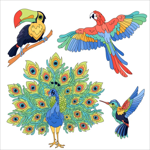 Ensemble d'oiseaux exotiques tropicaux — Image vectorielle