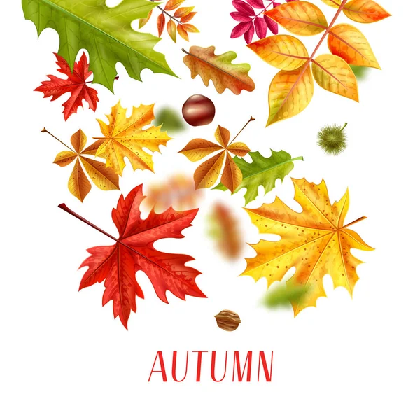Realistic Autumn Leaves Background — Stock Vector