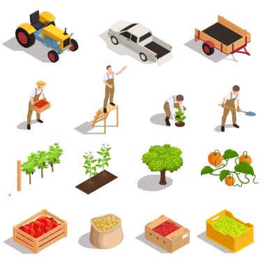 Çiftlik Ürünleri Isometric Set 