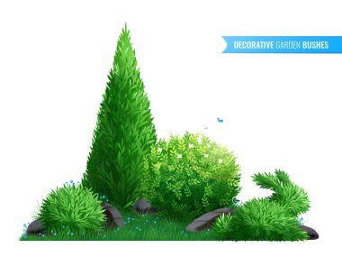 Dekoratif Bahçe Gerçekçi Kompozisyonu