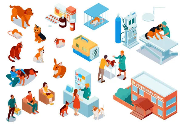 Isometrische veterinaire icoon set — Stockvector