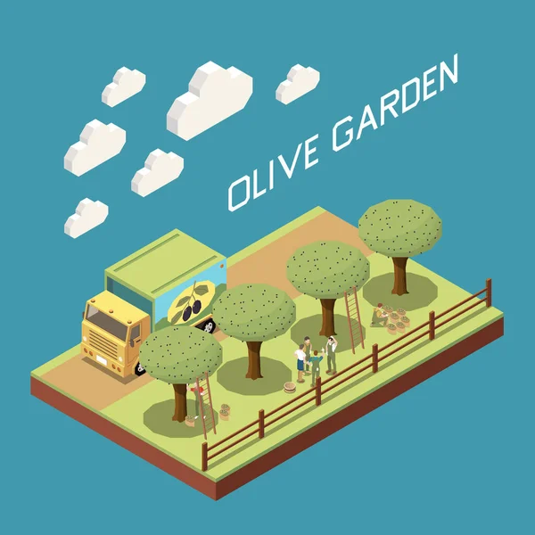Olive Garden Isometric Composition — Stock Vector