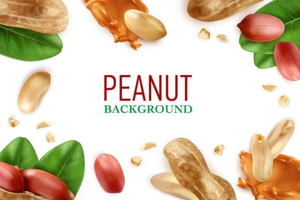 Peanut Realistic Frame — Stock Vector