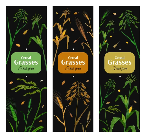 Cereal Grasses Poster Vertikal Ditata - Stok Vektor