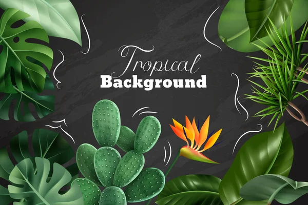 Tableau tropical coloré — Image vectorielle