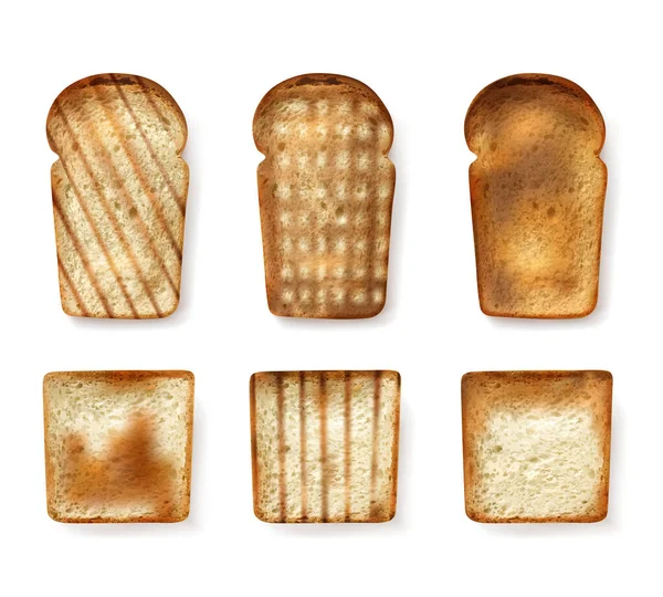 Different Bread Types Set — Stock Vector