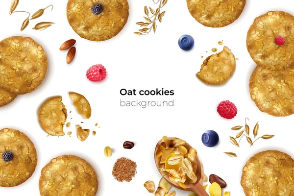 Berry Oat Cookies Background — 图库矢量图片