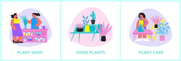 Home Plantensamenstelling Set — Stockvector