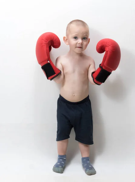 Een leuke jongen staat in rode handschoenen voor het boksen. — Stockfoto
