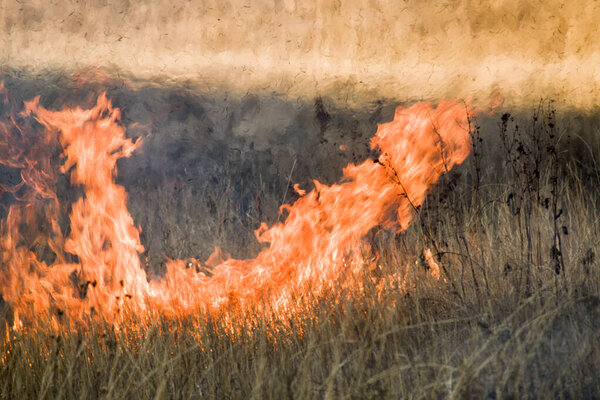 Fire and smoke, dry grass burns on a hillside. Hot autumn