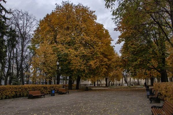 Passeio Outono Gorky Park — Fotografia de Stock