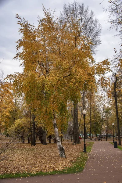 Walk Gorky Park Autumn — Stock Photo, Image