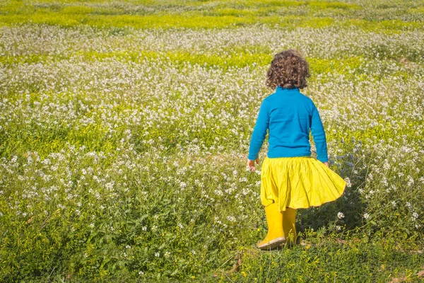 sarı etek ve mavi kazak güneşli günde yeşil alan üzerinde çalışan küçük güzel kız 
