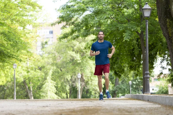 young sporty man jogging in summer park