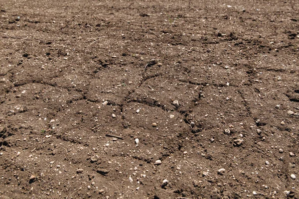 Textuur van gedroogde gebarsten aarde door geen regen en droogte seizoen. — Stockfoto