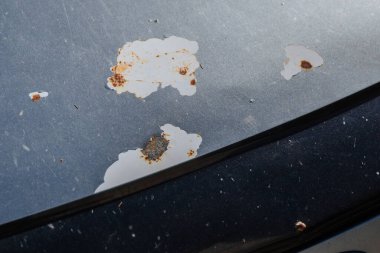 Hasarlı metal kaplamalı araba kaputu. Araba servisi..