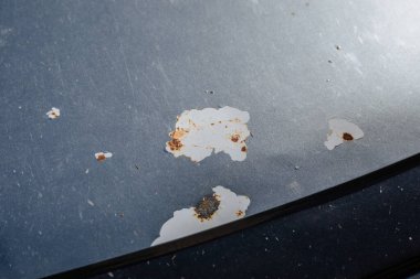 Hasarlı metal kaplamalı araba kaputu. Pas ve korozyonun arabanın kaportasını etkilemesine olanak sağlayan temiz bir boya tabakası. Araba servisi..