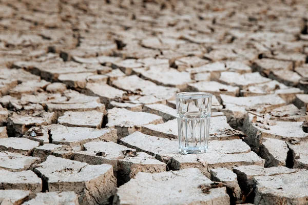 A transparent glass of clean drinking water stands in the middle of dry, cracked desert land. Global warming concept. Drought and water crisis