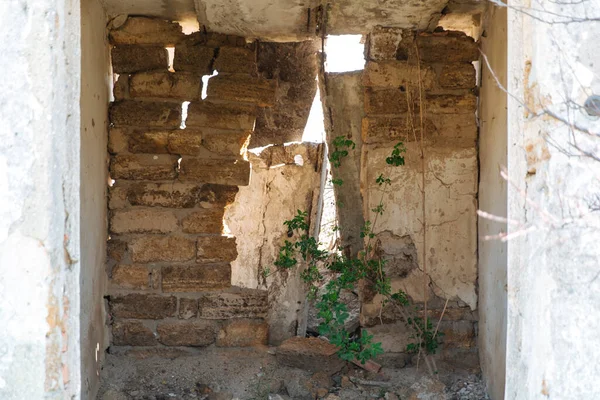 Abandoned Old House Uninhabitable Wall Collapsed Abandoned Building Green Plant — Stock Photo, Image