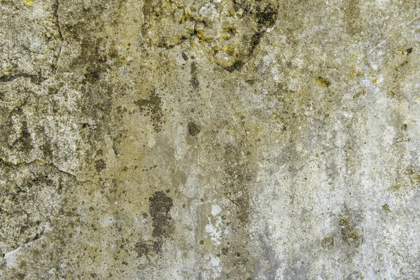 Dirty Old Concrete Wall Some Mold Background Texture — Stock Photo, Image