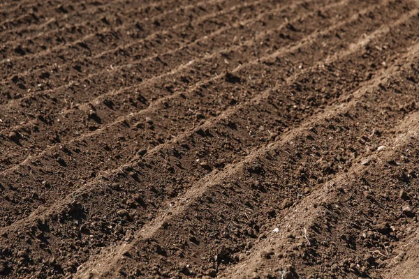 Geploegd Veld Landbouw Bodem Voor Het Zaaien Vruchtbare Grond Textuur — Stockfoto