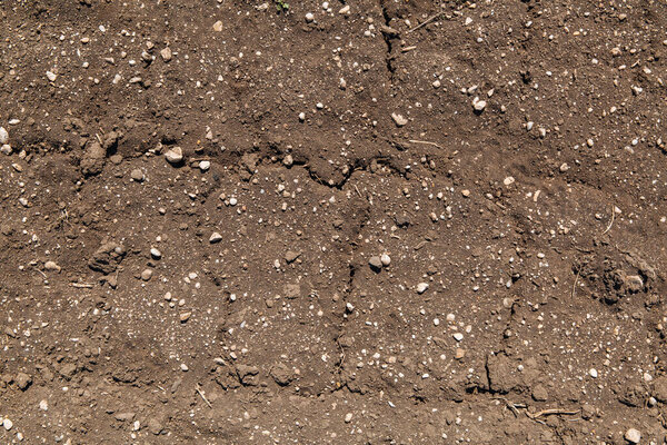 Dried cracked earth soil ground texture background. Mosaic pattern of dried earth soil. Example of changing climate.