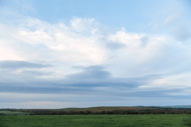 Yeşil tarla ve gökyüzü bulutlu, çimenler bahar arka planında, tarım mısır gevreği