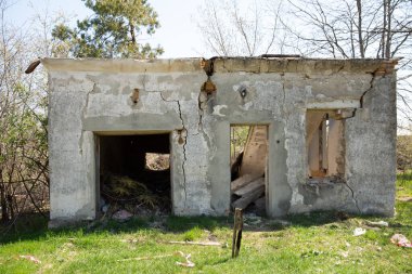Terk edilmiş eski bir ev. Evin etrafında ağaçlar yetişti..