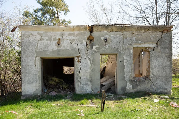 Old Abandoned Ruined House House Grew Trees — Stock Photo, Image