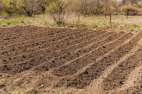 Plowed Field Agriculture Soil Sowing Fertile Land Texture Rural Field — Stock Photo, Image