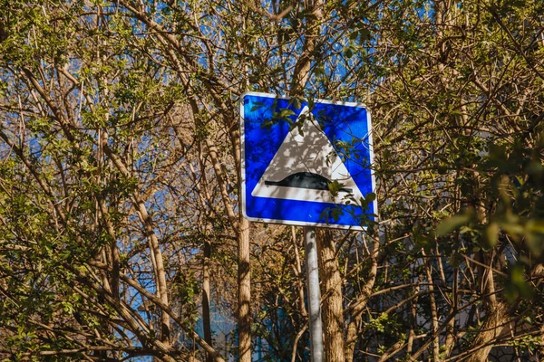 道路标志着树叶盛开的树木之间的人为的粗野 在蓝天下 — 图库照片