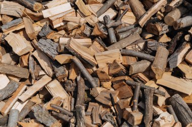 Doku, farklı ağaç türlerinden kesilmiş odun. Kış için yakacak odun hazırlığı.
